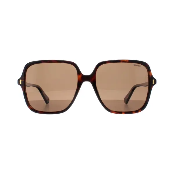 Polaroid Square Havana Bronze Polarized Pld 6219/s In Brown thumbnail