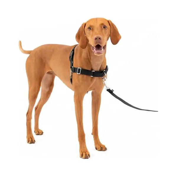Petsafe Pet Safe Easy Walk Dog Harness, Medium, Black thumbnail