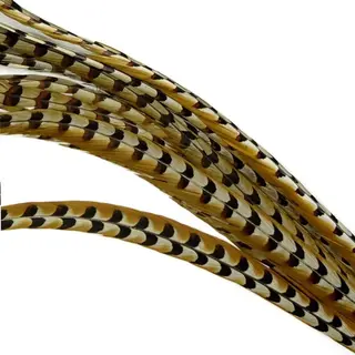 De museumwinkel.com Veer, Koningsfazant 75 - 90cm