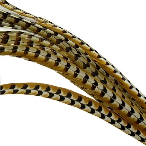 De museumwinkel.com Veer, Koningsfazant 75 - 90cm thumbnail