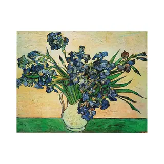 Pgm Kunstdruk Vincent Van Gogh - Iris Strauss, 1890 50x40cm