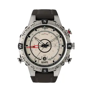 Timex Analoog Horloge Beige / Bruin