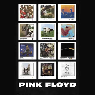 Grupo Erik Poster Pink Floyd - Covers 61x91, 5cm
