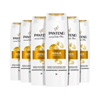 6x Pantene Shampoo Repair&Protect 250 Ml
