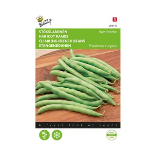 Buzzy Seeds Hoge Sperzieboon/ Stokslaboon Westlandse Dubbele Tros 25 Gram
