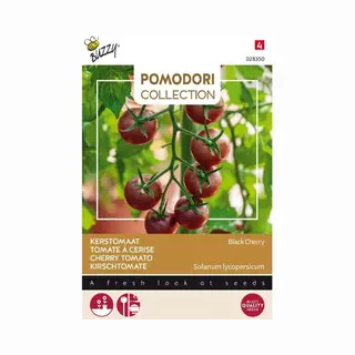 Buzzy Seeds Buzzy Kerstomaat Black Cherry - Donkergekleurde Kerstomaat Zaden