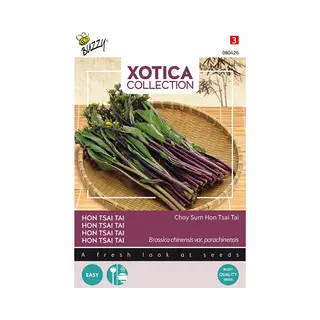 Buzzy Xotica - Groentezaad - Hon Tsai Tai - Choy Sum - Koolsoort