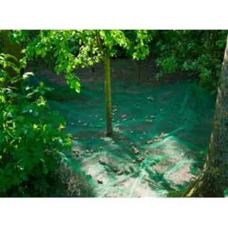 Nature Raapnet