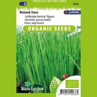 Sluis Garden - Bieslook Staro Biologisch (Allium Schoenoprasum)