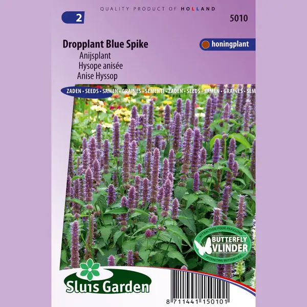 Sluis Garden - Dropplant Blue Spike (Agastache Foeniculum) thumbnail