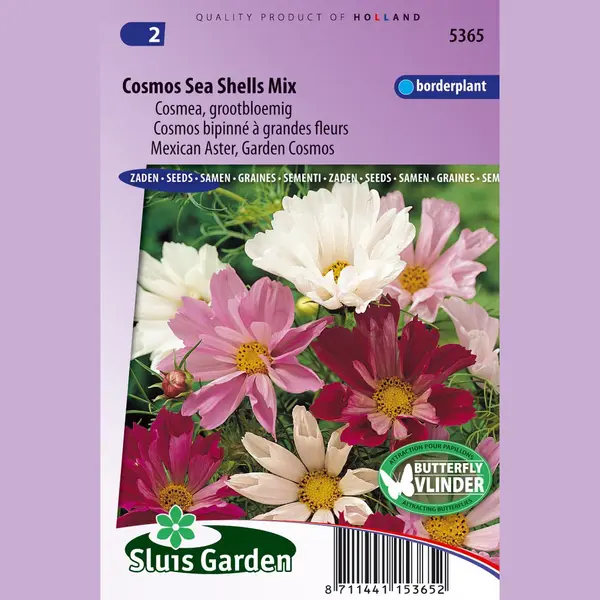 Sluis Garden - Cosmos Sea Shells Mixed thumbnail