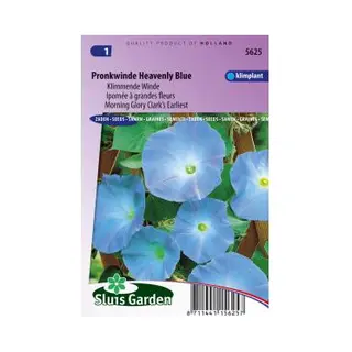 Sluis Garden - Klimmende Winde Clark's Blue (Ipomoea)