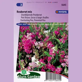 Sluis Garden - Reukerwt Overblijvende Mix (Lathyrus)