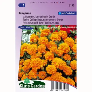 Sluis Garden Oranje Lage Dubbele Afrikaantjes Bloemzaden – Tangerine