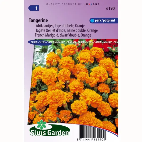 Sluis Garden Oranje Lage Dubbele Afrikaantjes Bloemzaden – Tangerine thumbnail