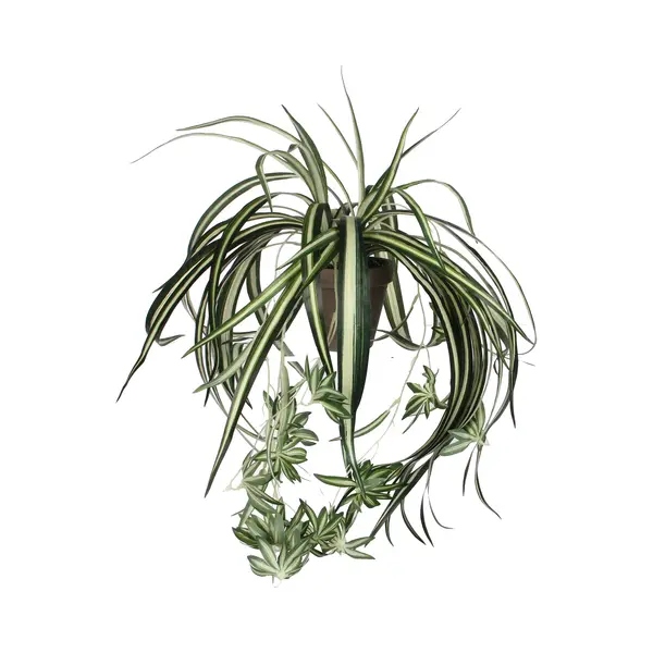 Mica Decorations Kunstplant - Graslelie - Groen - In Pot - 45 Cm - Hangplanten thumbnail