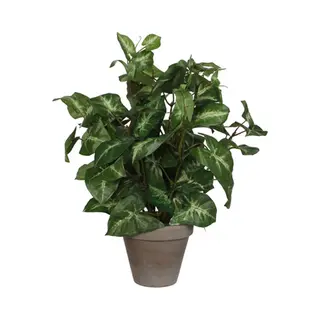 Kunstpflanze Mica Kunstpflanze Syngonium Grün Im Topf 35 X 25, Mica Decorations