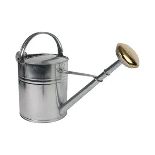 Talen Tools - Gieter - Metaal - 10L - Verzinkt