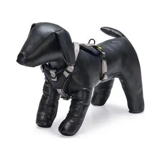 Beeztees Premium Y Geschirr Parinca (Hond, Algemeen, Hondensport, Loop), Kraag + Leiband
