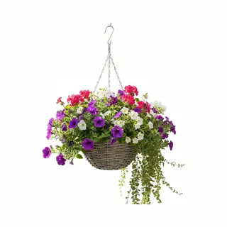 van der Leeden Vd Leeden Hangmand - D30 X H15 Cm - Gevlochten Wilg - Hangende Plantenbak Met Ketting – Bloempot – Handgevlochten In Indonesië