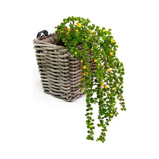 Van Der Leeden Balkonmand - Rotan Gevlochten -15 X 15 X 15 Cm - Bloemen/planten Mand - Schuttingmand - Hangmand - Plantenpot - Bloempot