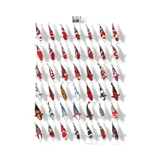 SuperFish Koiposter Nr.1 A4 Gelamineerd