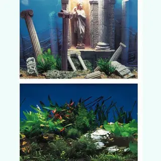 Superfish - Aquariumdecoratie - Poster - 100 X 49 Cm