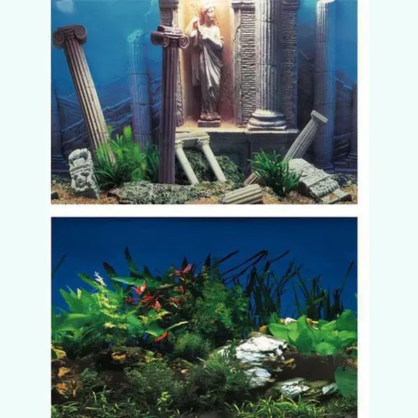 Superfish - Aquariumdecoratie - Poster - 100 X 49 Cm thumbnail
