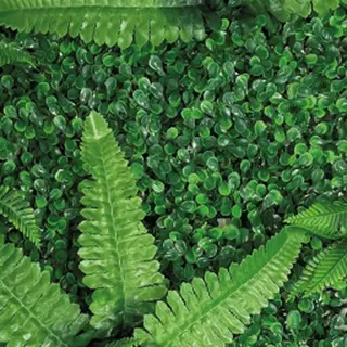 Habistat Repto Plant Achterwand Mat 40x60cm Nr.1 Opruiming