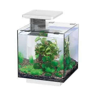 SuperFish Qubiq 15 Led Wit