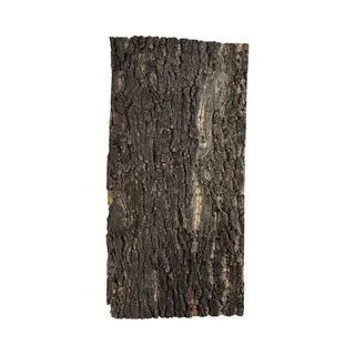 Repto Kurkplaat Terrarium 30x20 Cm En 60x30 Cm Als Achterwand En Schuilplaats 60 X 30CM