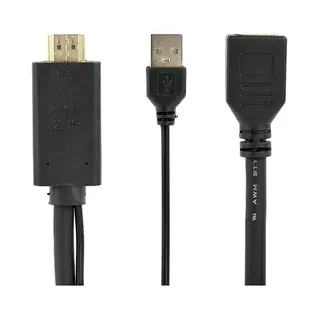Gembird A-Hdmim-Dpf-01 video kabel adapter 0,1 m Hdmi Type A (Standaard) DisplayPort + Usb Type-A Zwart
