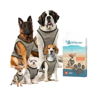 Coolpets Cooling Vest Xs - Koelvest Hond - Coolvest - Verkoelende Jas - Ruglengte 20 Cm - Beige
