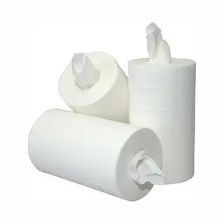 Euro Products Mini Poetspapier - 120 Meter X 22 Cm Per Rol - 12 Rollen Per Pak