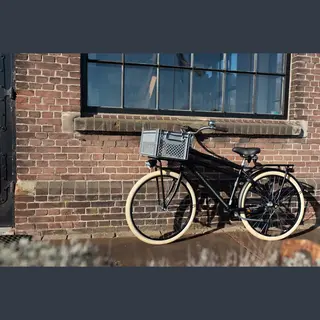 Fastrider Fietskrat Medium - Grijs - 22L