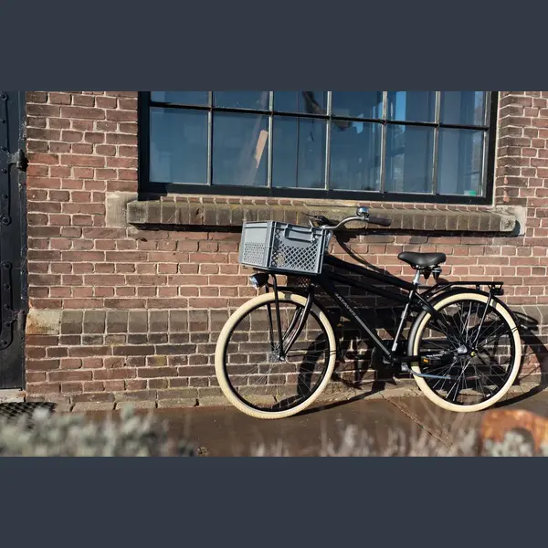 Fastrider Fietskrat Medium - Grijs - 22L thumbnail