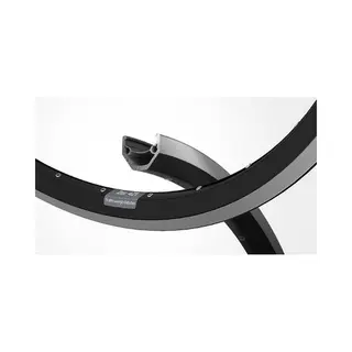 Velg Ryde Zac 421 28/29 / 622*21C Aluminium - 36 Gaats 14G - Zwart Geslepen