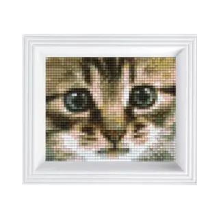 Pixelhobby Geschenkverpakking Poezenblik