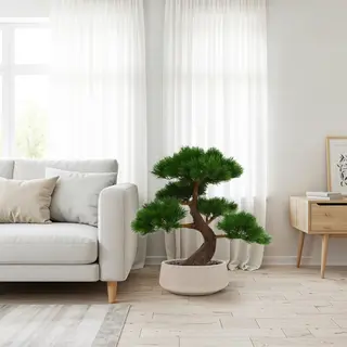 maxifleur Kunstplanten Pinus Bonsai X5 Deluxe Kunstplant Op Voet 80cm