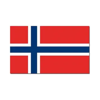 Vlag Van Noorwegen - 90 X 150 Cm - Feestartikelen - Landen Thema - Supporters - Versiering