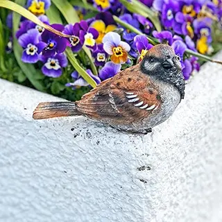 Farmwood Vogel Mus