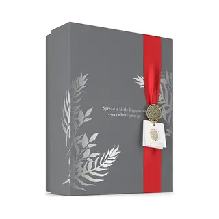 Rituals Homme 8719134184570 huidverzorgingsset voor gezicht & lichaam