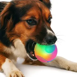 Nobleza Lichtgevende Speelbal Hond - Maat L - Diameter 6, 5 Cm - Honden Speelgoed - Hondenbal - Verlichte Bal Hond
