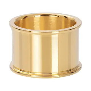 Basis Ring 14 Mm - IXXXi