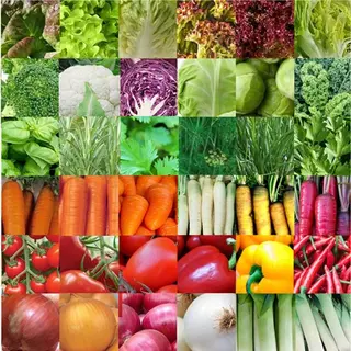 Zaadlint.nl Groentezaden Assortiment 36 Soorten (sla, Kolen, Wortels, Kruiden, Tomaten, Paprika, Uien, Prei) Zaadlint