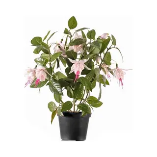 Bellatio Flowers & Plants Kunstplant Met Bloemen - Fuchsia Roze - 30 Cm - Kamerplant Met Bloemetjes