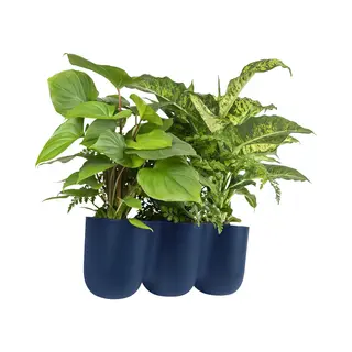 Quvio Bloempot Voor Aan De Wand - Bloempotten Voor Binnen - Bloempotten Voor Buiten - Bloempotten - Bloempot Buiten - Bloempot Binnen - Bloempotten