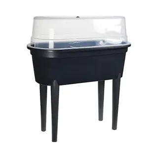 Causeway Living Mini-broeikas Voor Tuinplanten Binnen Of Buiten