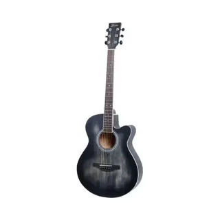 Fazley W55-Col-Bk ColourTune Western Gitaar Zwart