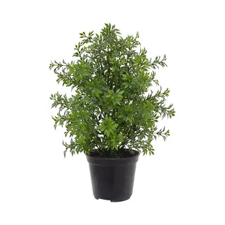 maxifleur Kunstplanten Eucalyptus Kunstplant 30cm - Uv Bestendig In Pot